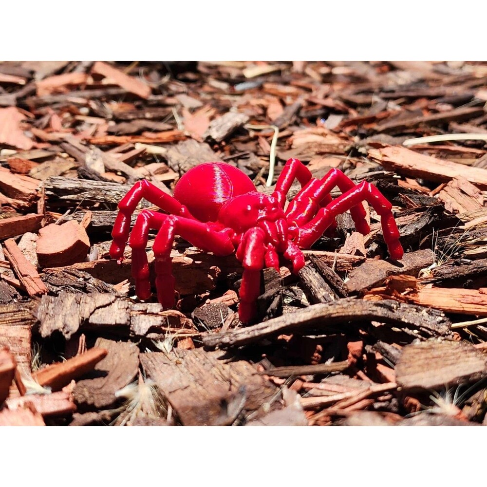 Realistic Articulated Tarantula Spider – 3D Printed – Poseable Red Toy Model